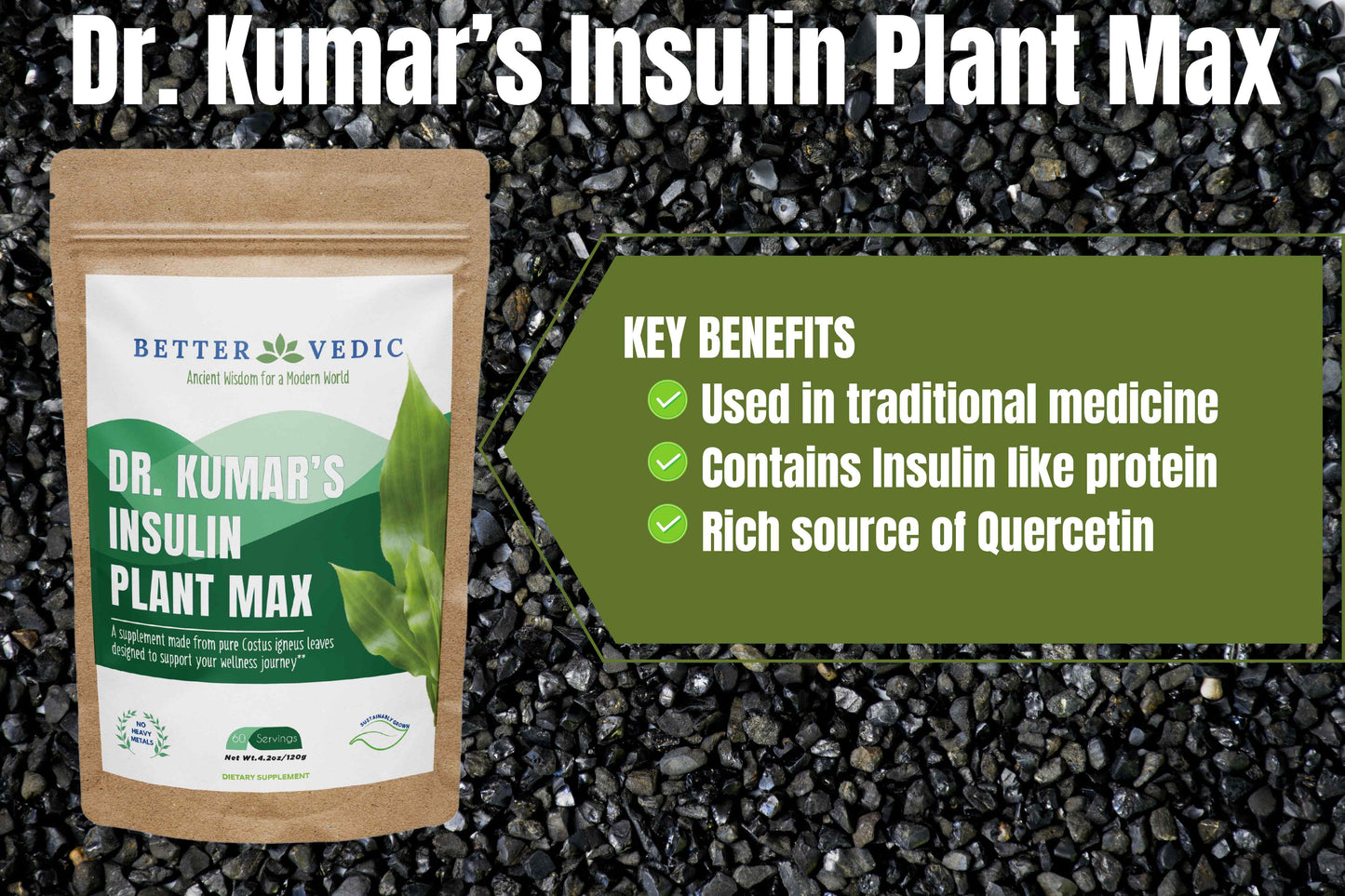 Key Benefits from Dr. Kumar's Insulin Plant Max