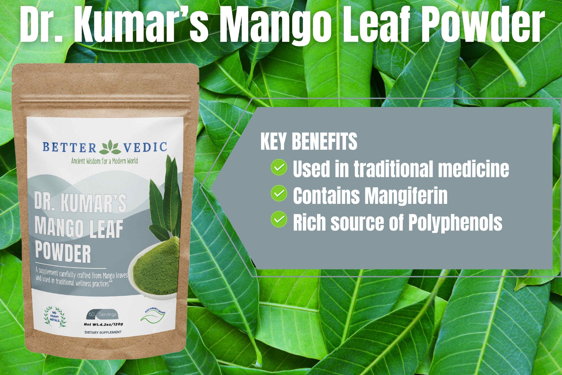 Mango leaf powder key benefits